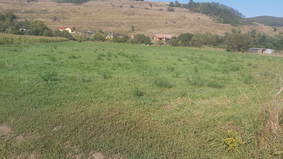 De vanzare teren cu autorizatie constructie hala - Poză 2