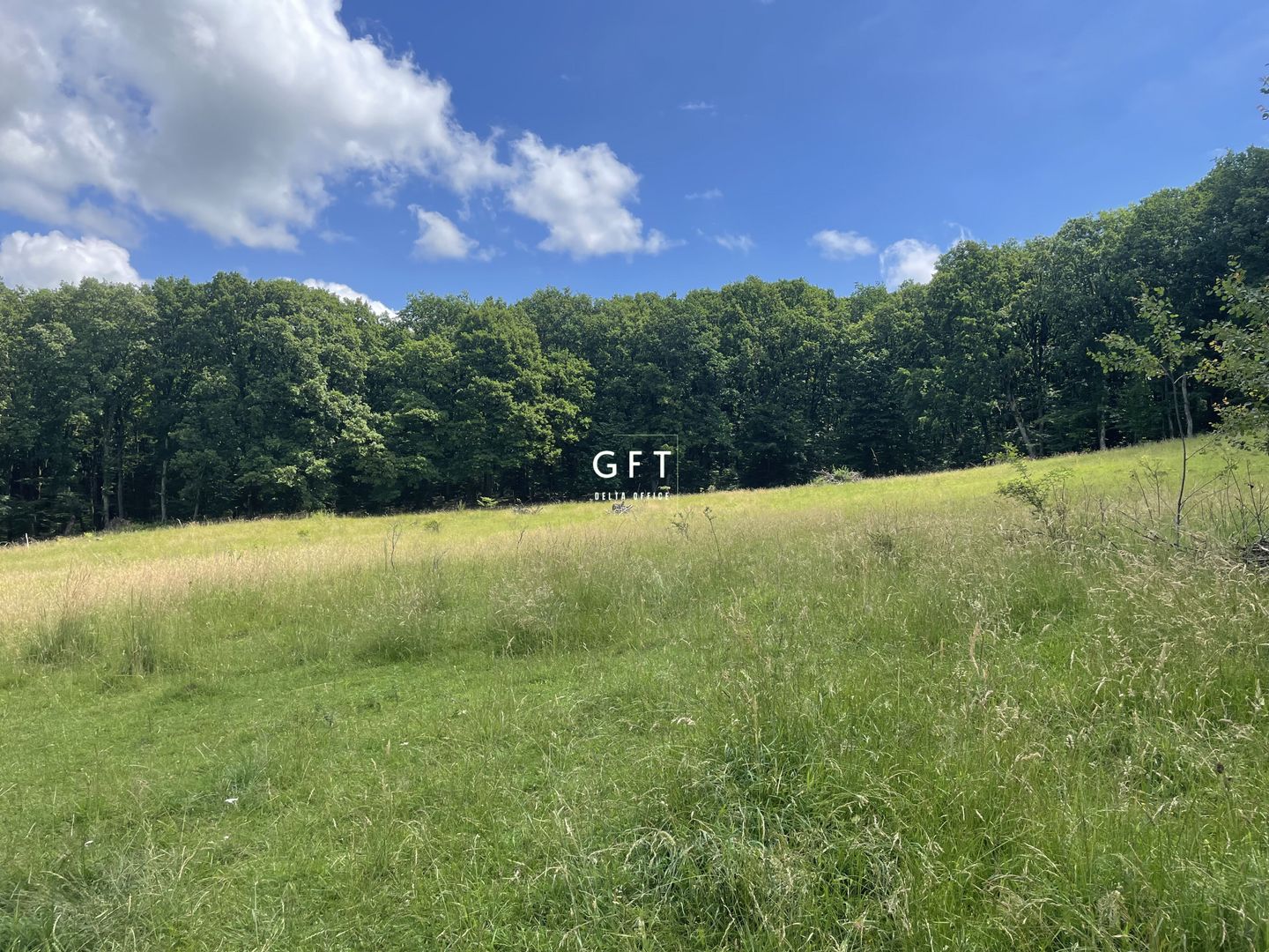 Teren , sub liziera padurii. Str. Tabara, 7 min. de Centru Pietonal - Poză 1