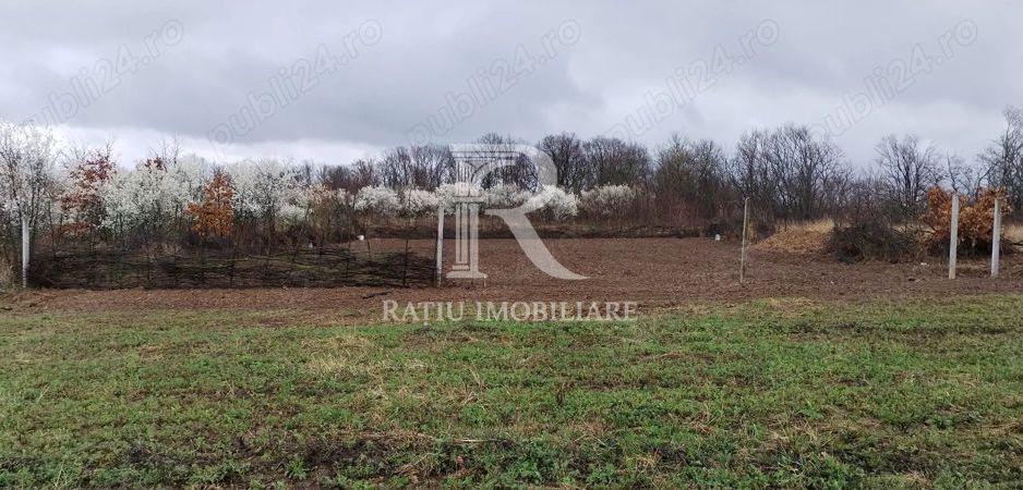 Teren intravilan 888 mp | Front 24 ml | Paleu - Poză 1
