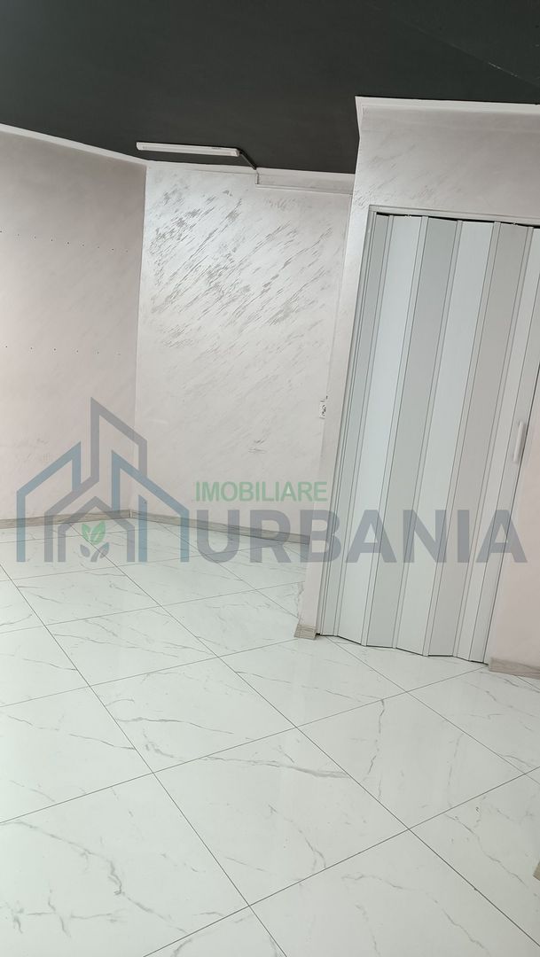 Spațiu Comercial Mic, Stradă Principală, Zona Nicolina, Aroneanu - Poză 7