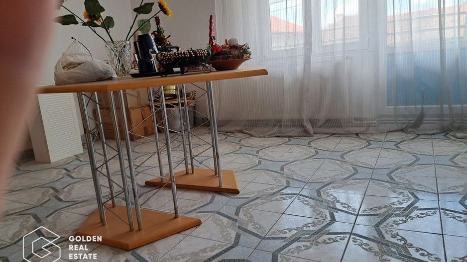 Casa mare cu 2 spatii comerciale, in Faget - Poză 14