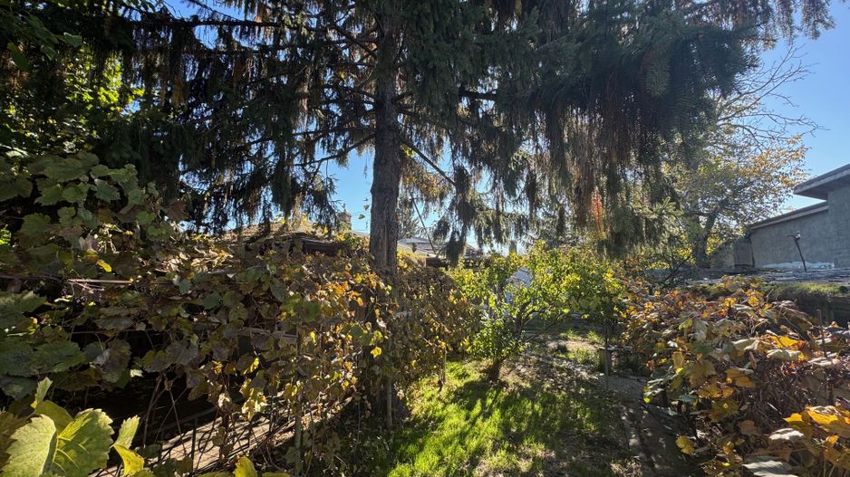 Teren Intravilan Sisesti 308m2, 0% COMISION - Poză 3