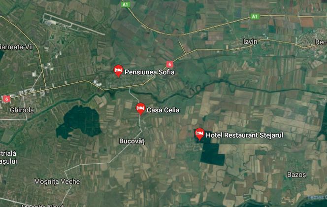 Teren PUZ rezidential-Bucovat (Remetea Mare) - Poză 6