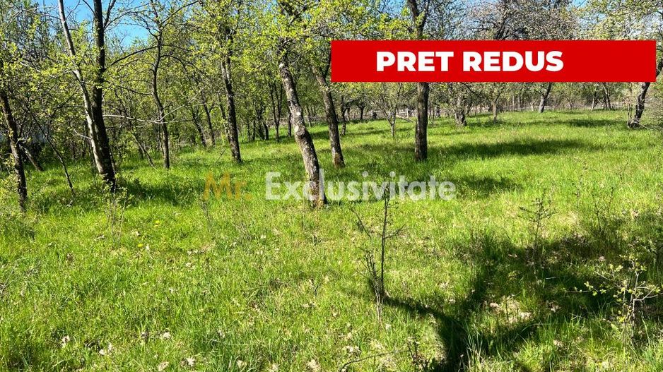 Teren intravilan, Comuna Corbi, Jud. Argeș, toarte utilitatile - Poză 1
