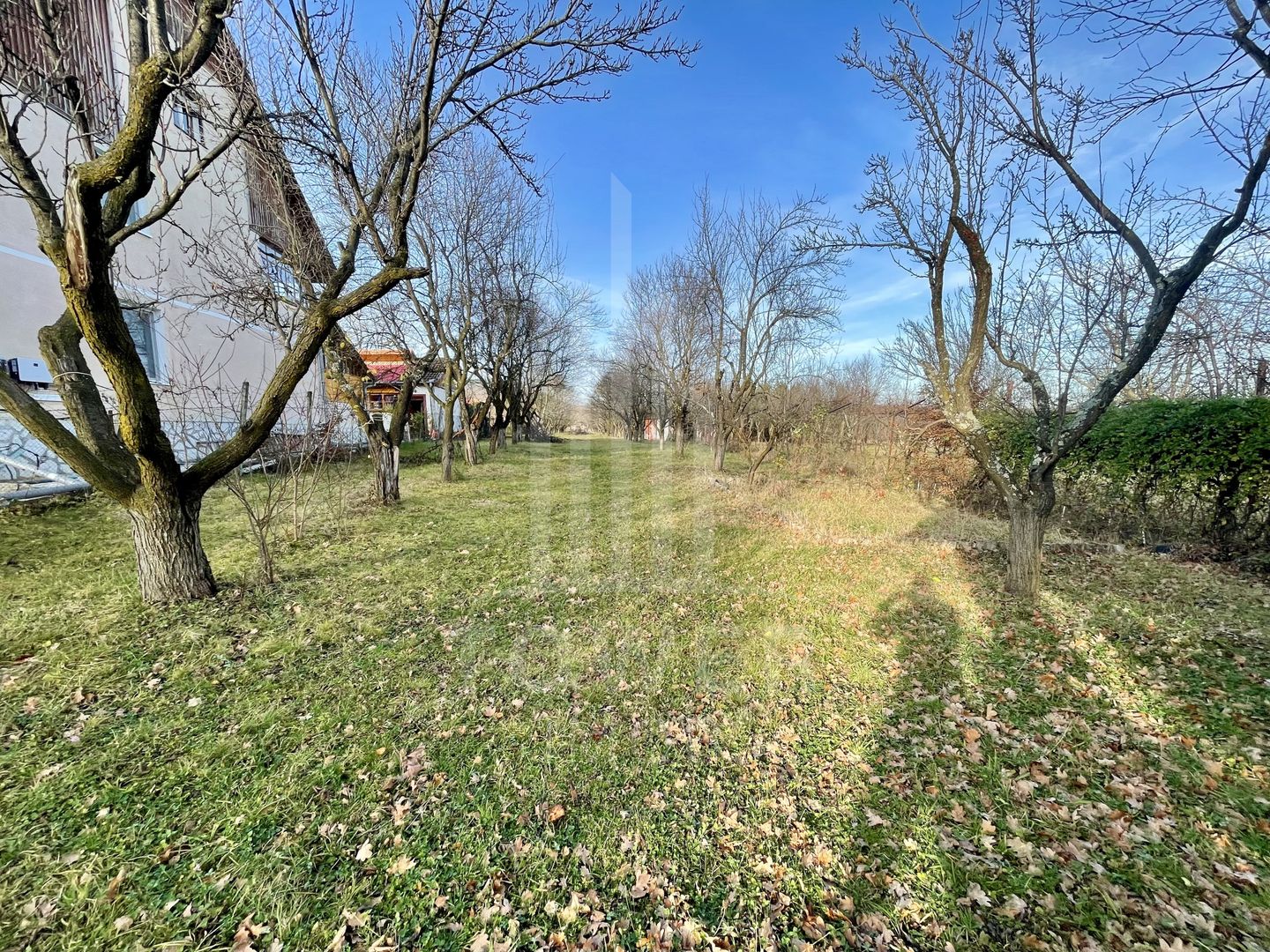 Teren intravilan 1.915 mp + cabană din lemn | Tocile – Sadu - Poză 8