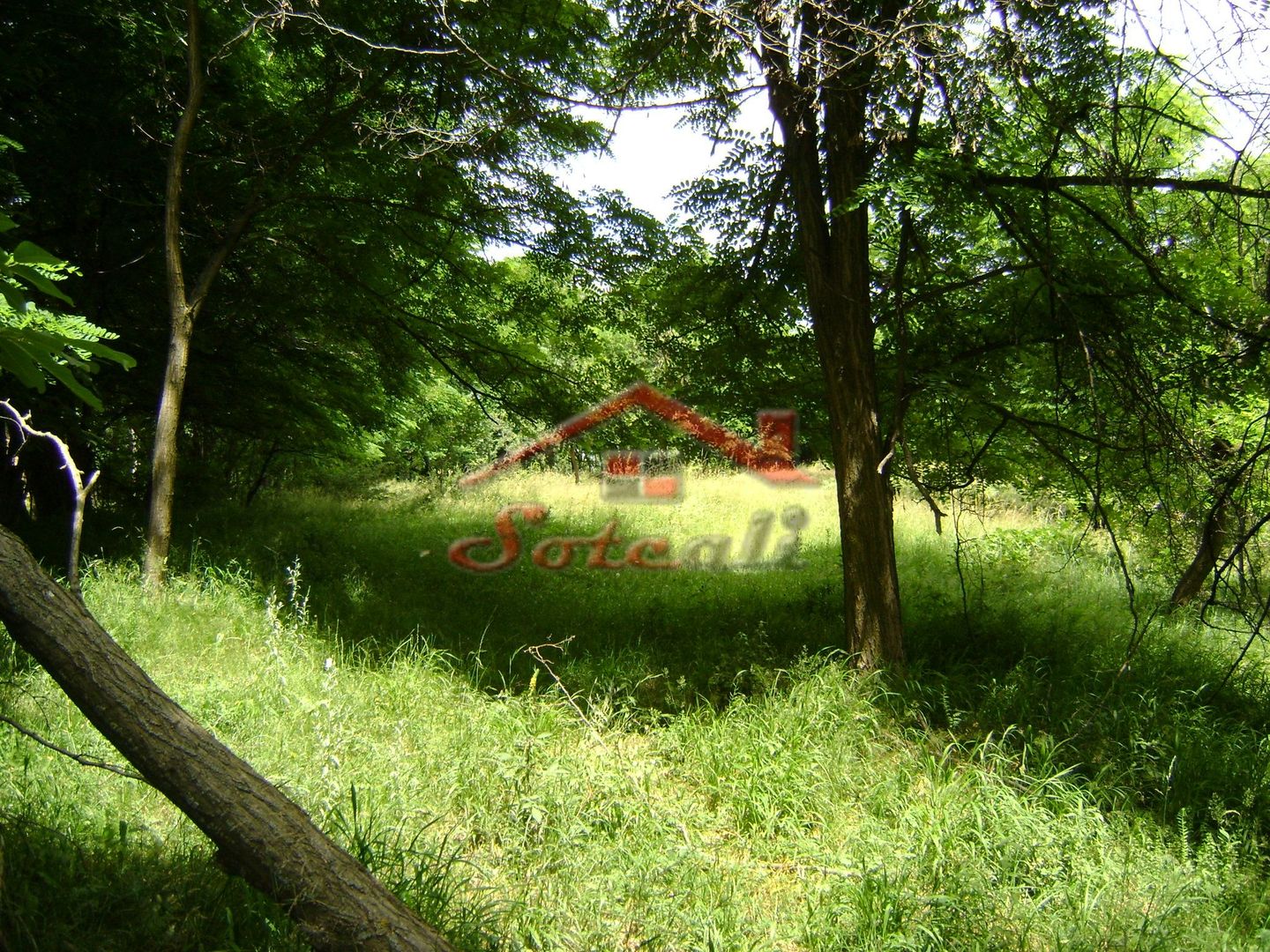 Teren de vanzare Cornu 3074 mp - Poză 10