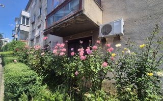 Centru Civic, apartament pet friendly - Poză 10