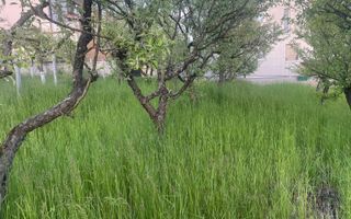 Teren intravilan | Str. Soarelui - Poză 9