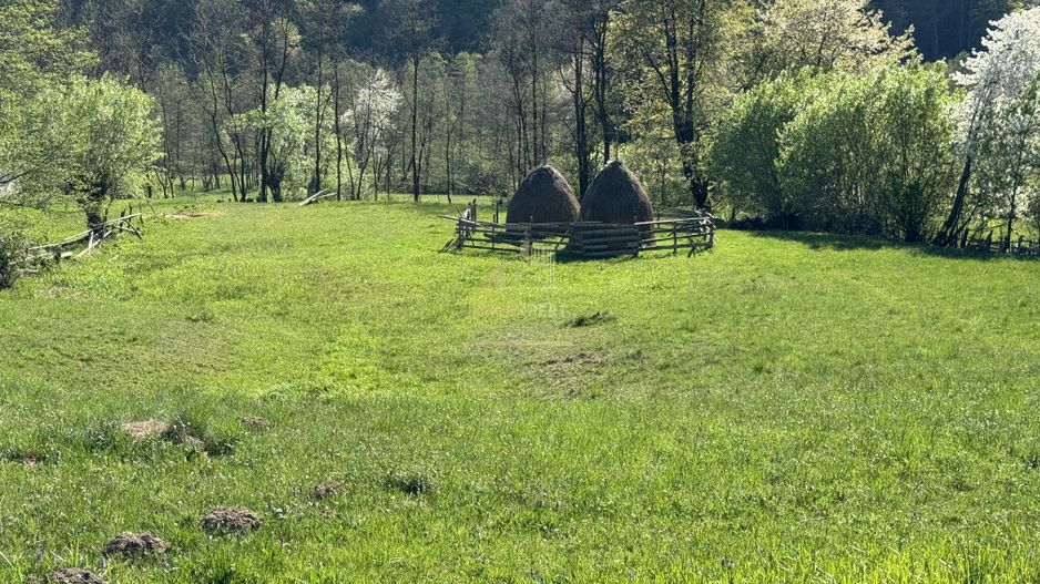 TEREN INTRAVILAN 2592 MP,  ALBESTI DE MUSCEL, ARGES - Poză 13