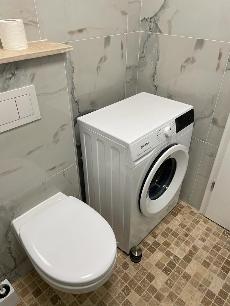 Apartament 1 camera  in Remetea  Mare - Poză 5