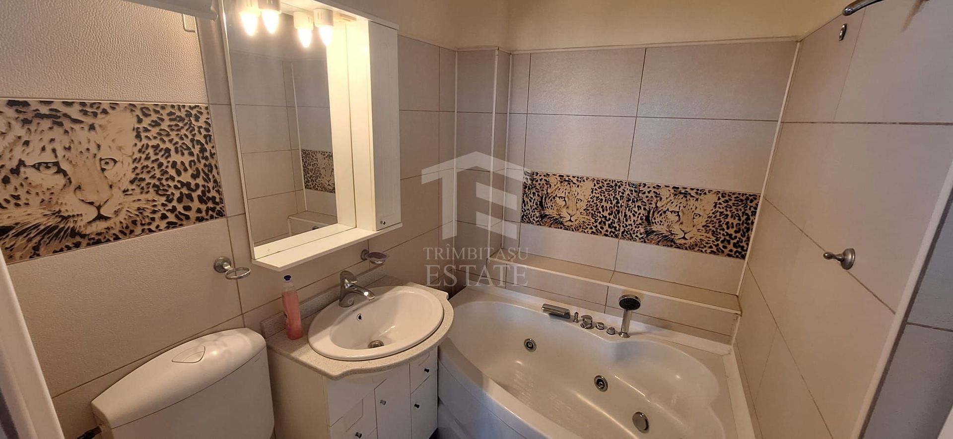Apartament 3 camere plus tarasa Stradal P-ta Romana - Magheru - Poză 6