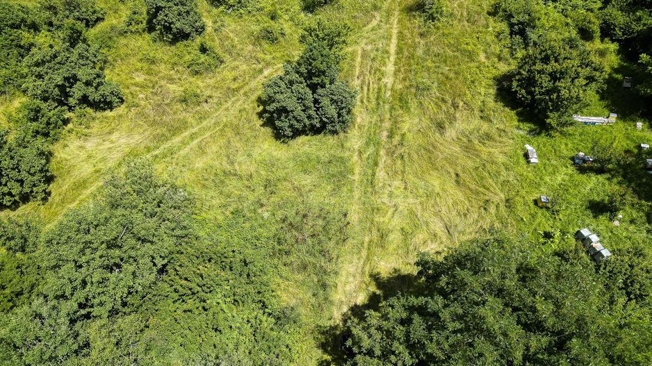 Teren pe deal la Sebiș - Poză 7