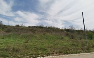 Teren intravilan 5400 mp, Valea Lupului – utilitati si acces rutier - Poză 2