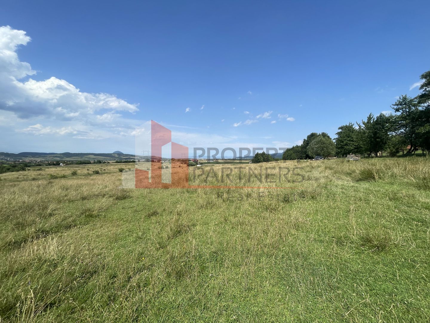Teren de vanzare in  Tohanu Nou-Sohodol 6200 mp - Poză 6
