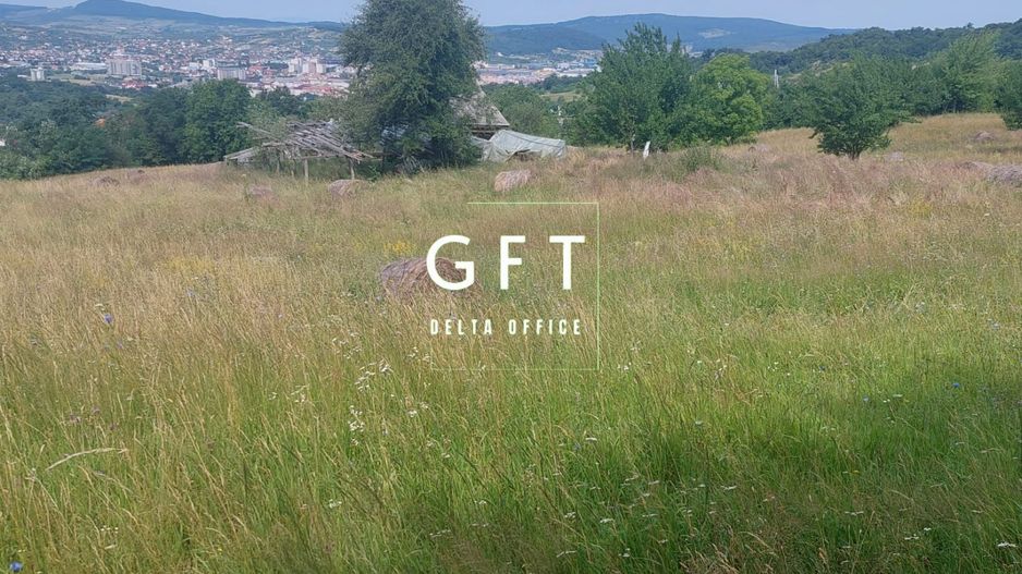 Teren extravilan 7000 mp, zona Lempes - Poză 2