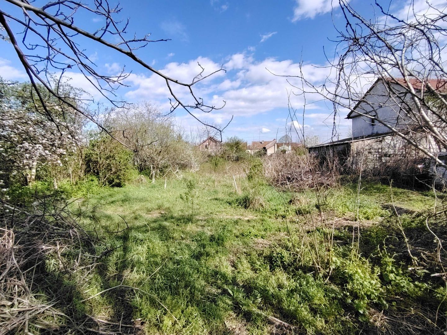 Casă cu teren generos în Alfa – Arad - Poză 20