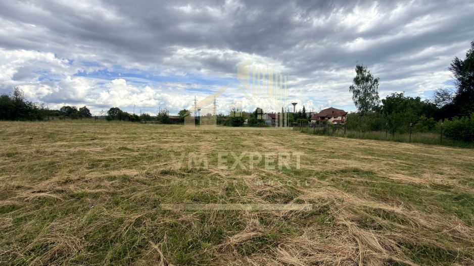 DOUĂ CORPURI DE CASĂ TEREN INTRAVILAN 6997 MP BUGHEA DE SUS ARGEȘ - Poză 4