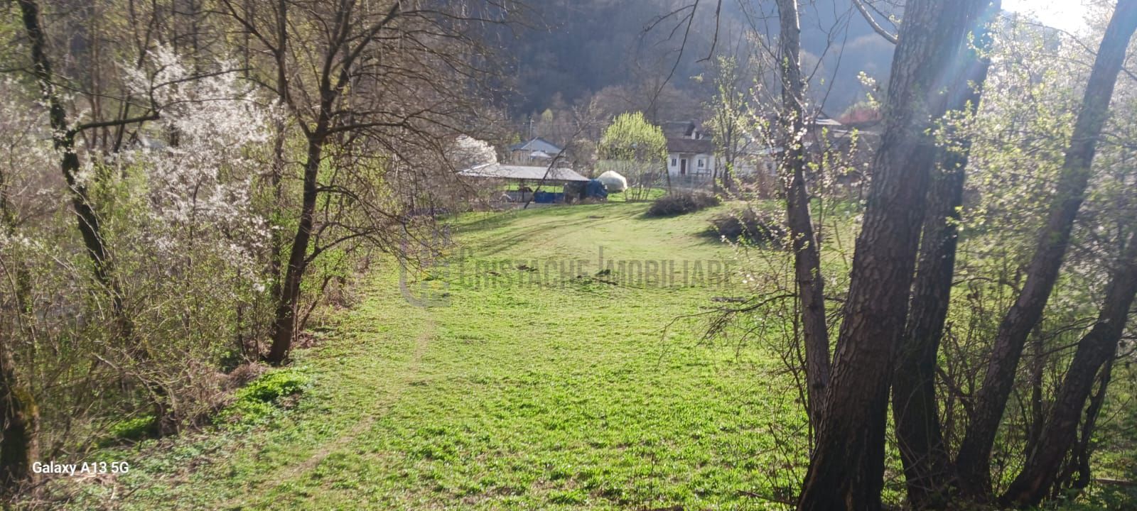 Teren in Comuna Muereasca_suprafata 7489 mp_mixt_situat la 170 m de Primarie - Poză 2