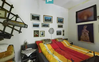 Casă cu livadă de pomi în Dorobanți - Poză 15