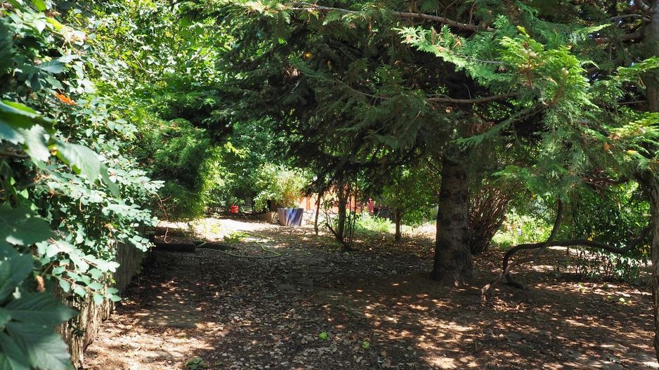 Vila 6 camere-teren 1800mp-Snagov Izvorani-lac - Poză 14