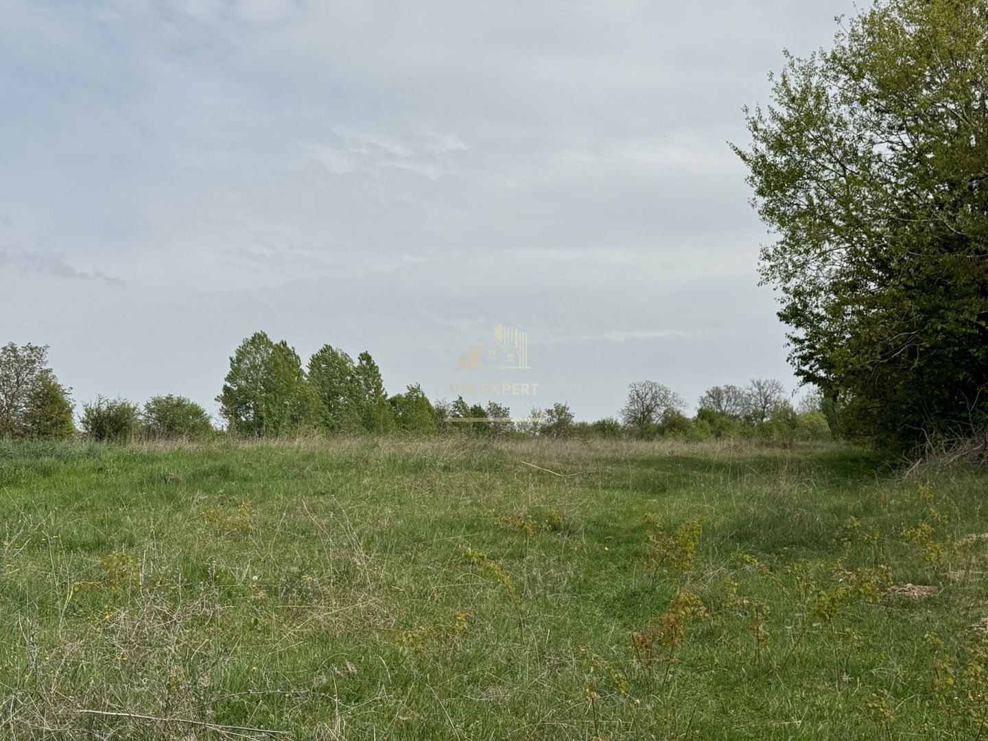 TEREN INTRAVILAN, 7472 MP, VALEA MARE PRAVAT, ARGES - Poză 7