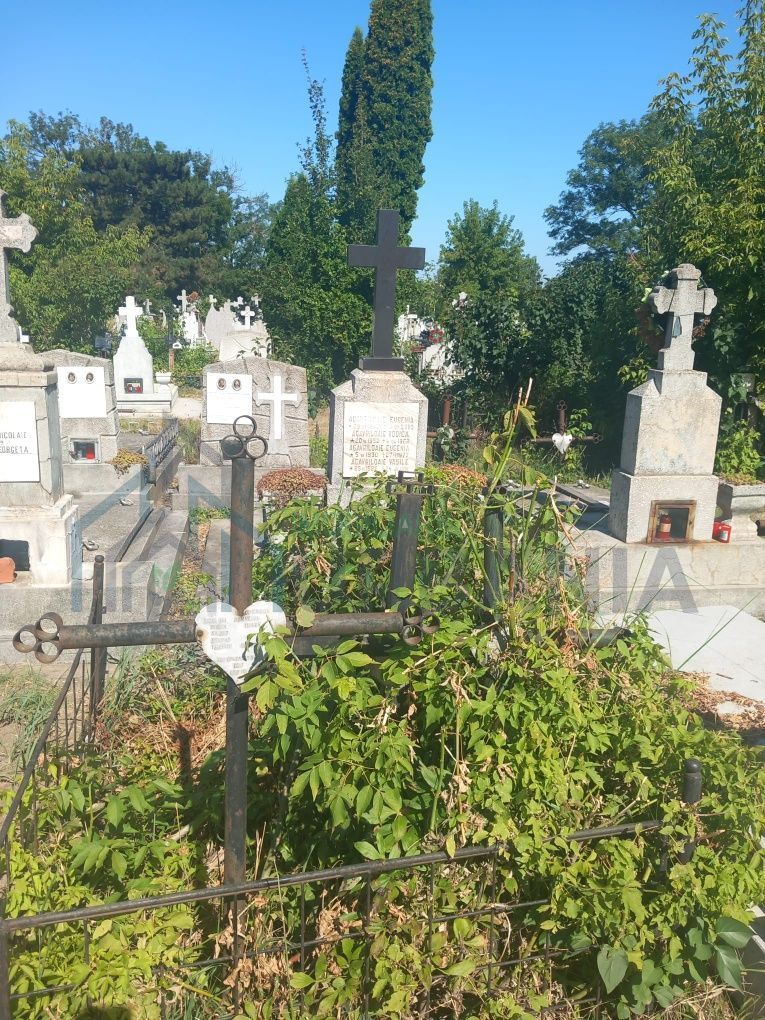 Cavou Eternitate, Parcela 19 – Iasi - Poză 4
