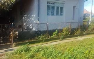 Vand casa la tara - Poză 1