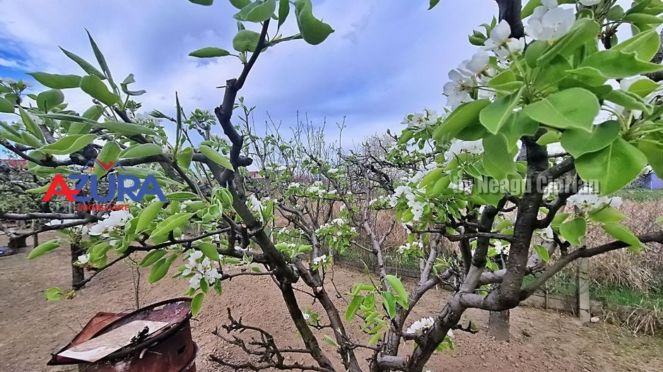 AZURA Imobiliare - Casa Prundu Bananai - Poză 27