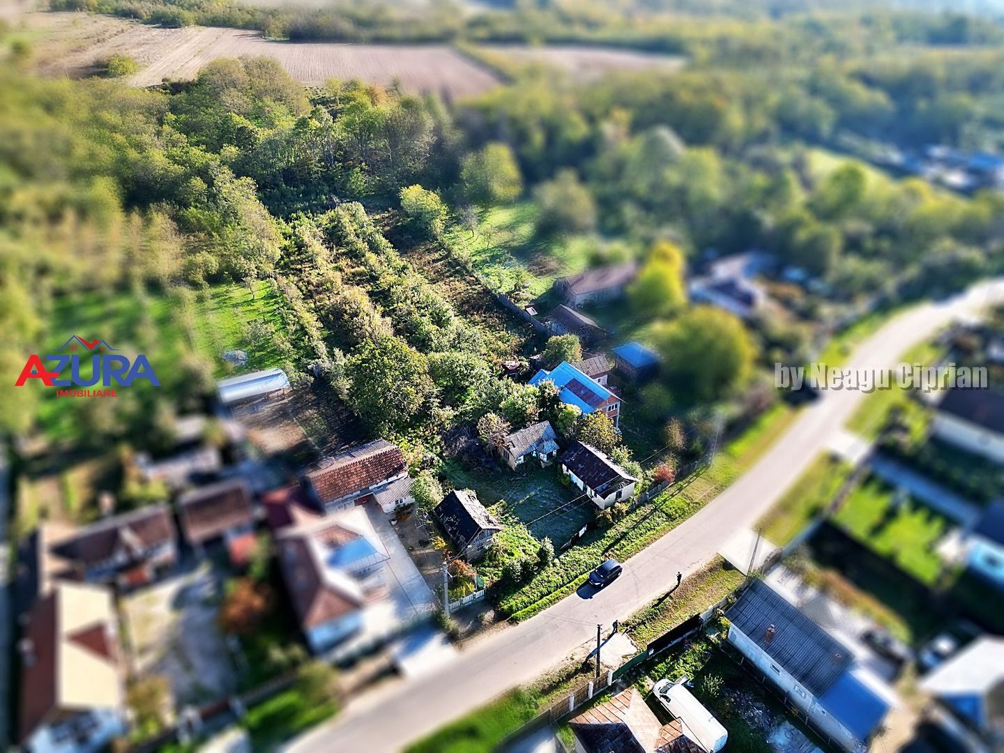 Vanzare teren 3300 mp, intravilan, Albota - Mares - Poză 10