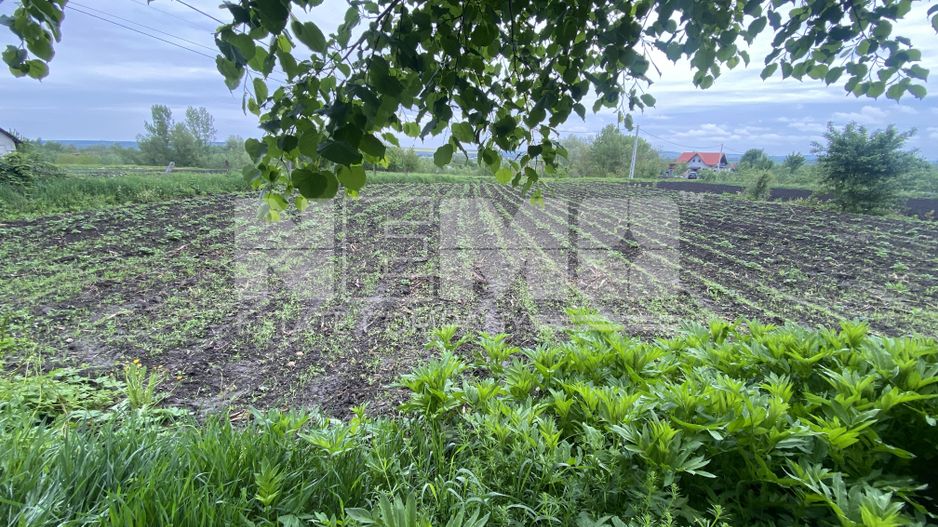 Casa la Tara | Balinesti | 16 ARI - Poză 11