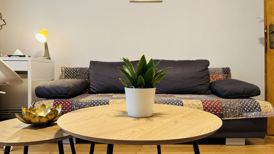 Oferta inchiriata - Apartament spatios langa UPT, cu Garaj | 70 mp - Poză 2