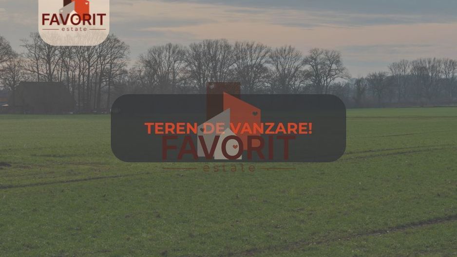 Teren de vanzare | 4200mp | Zona rezidentiala | Remetea Mare - Poză 1