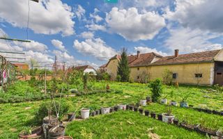 Teren 1300 mp, Beregsău Mare - Poză 4