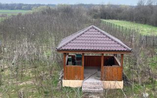 CASA CU TEREN DE 5000MP  - JUDET GIURGIU  30KM DE BUCURESTI - Poză 22