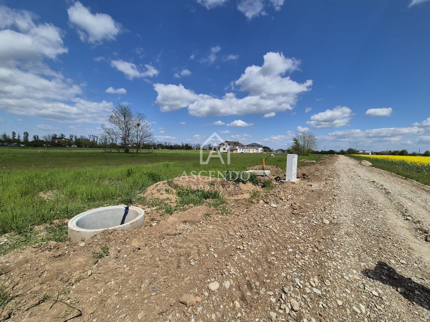 Teren intravilan 704 mp – Siliștea Snagovului | Lângă Pădurea Snagov - Poză 6