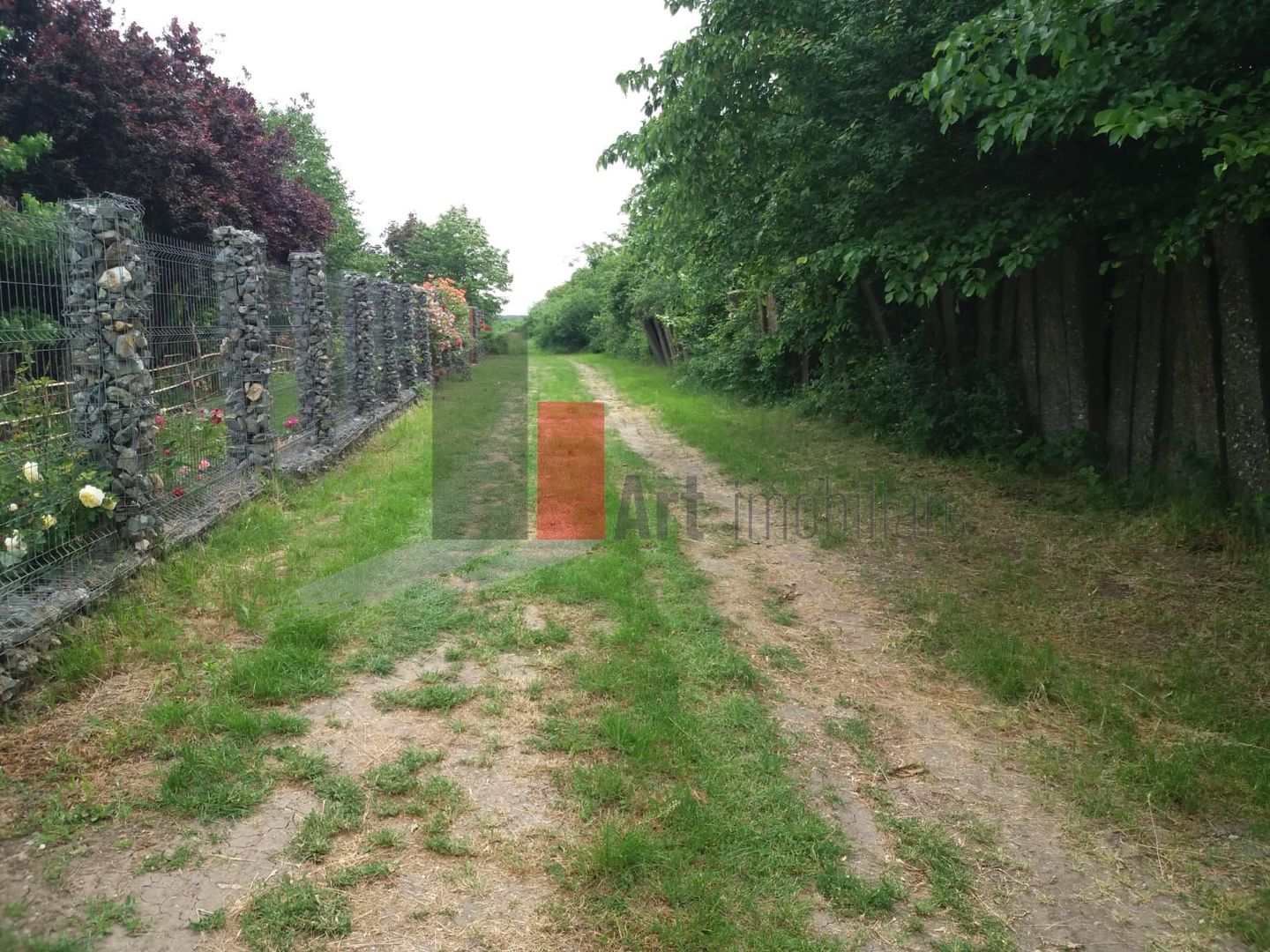 Teren Buftea cu iesire la lac - Poză 1