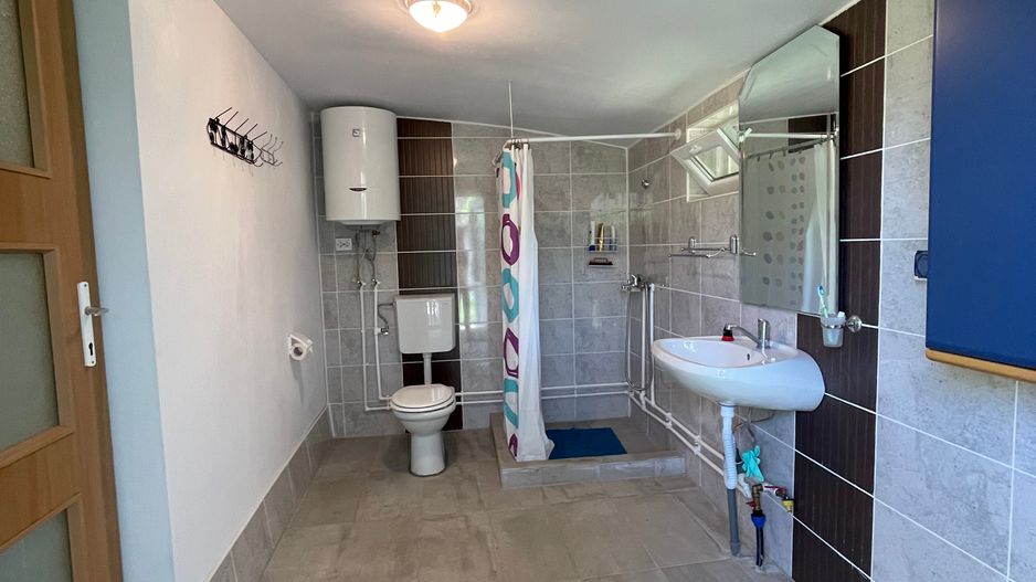 Casa in Comuna Geaca - Poză 10