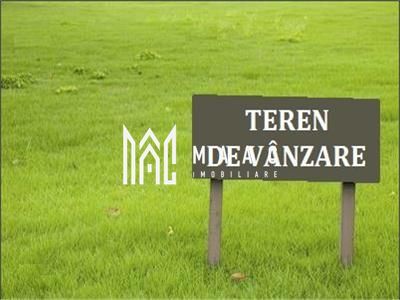 Teren de casa 22 | 500MP | PUZ | Intravilan | Sura Mica - Poză 6