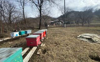 CASA 3 CAMERE TEREN 1250 MP CAMPULUNG - Poză 14