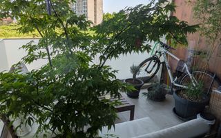 3 Camere Loc Parcare Afi City 64 Mp Laminorului - Poză 14