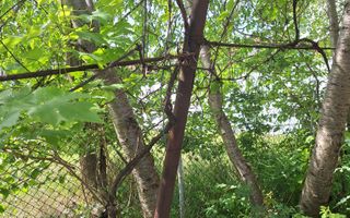 Casă cu 3 camere și teren generos, în Andrei Mureșanu - Poză 5