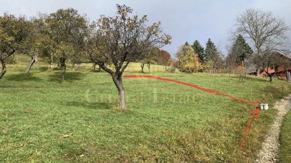 Teren Moieciu de Jos - Poză 3