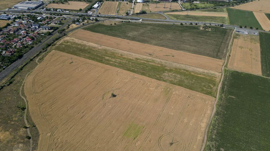 Tern intrevilan 4003 mp - Poză 4