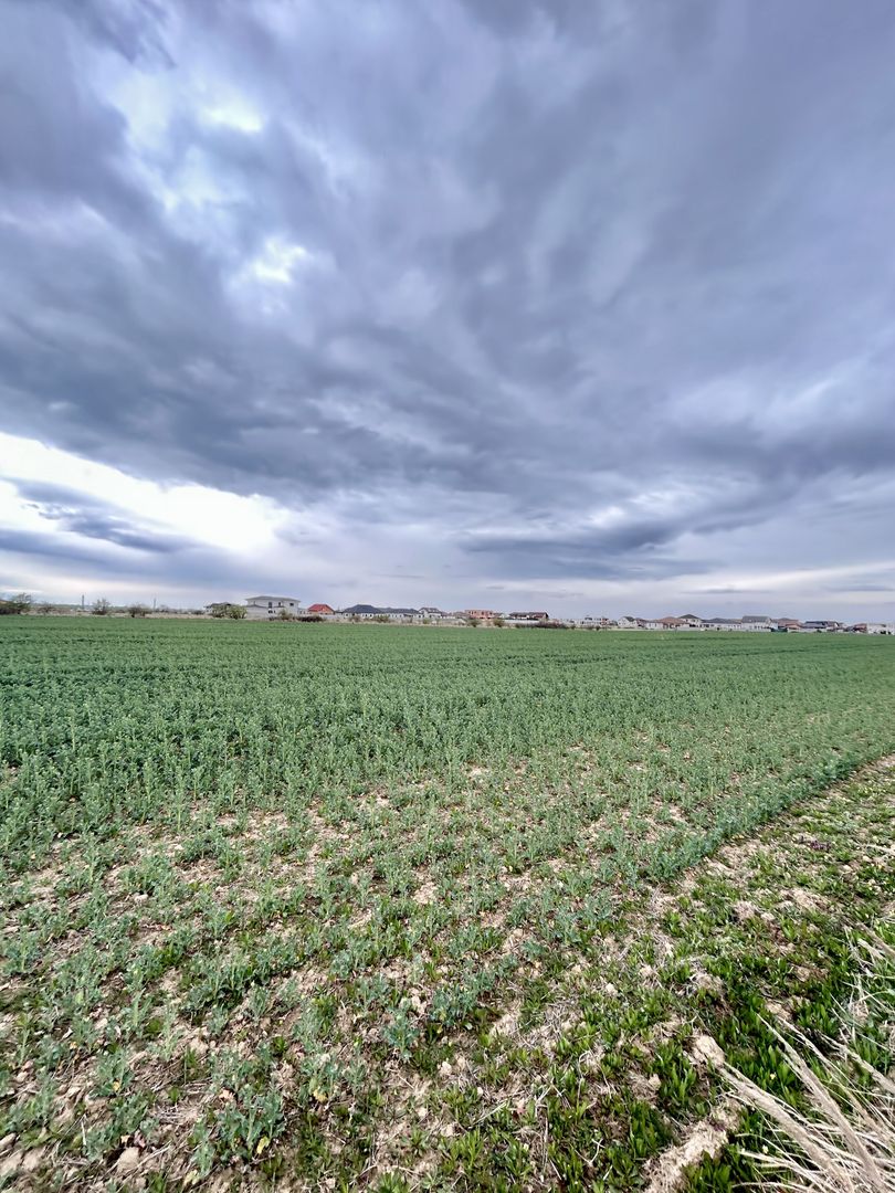 Teren premium 4000 mp – Cartier Grigorescu - Poză 2