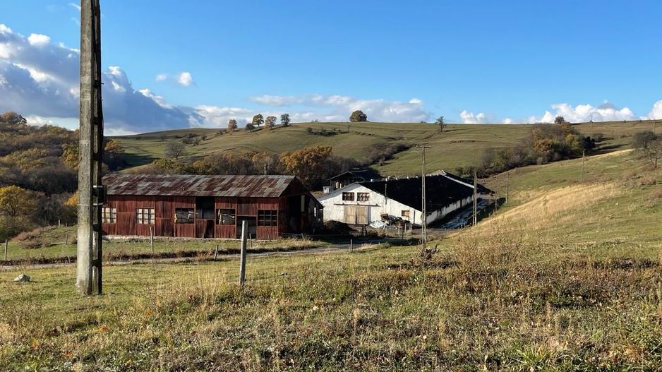 Ferma cu teren de 200 hectare - Poză 9