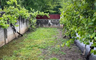 Casa 3 Camere I Individuala I 504mp Teren I Sub Arini - Poză 19