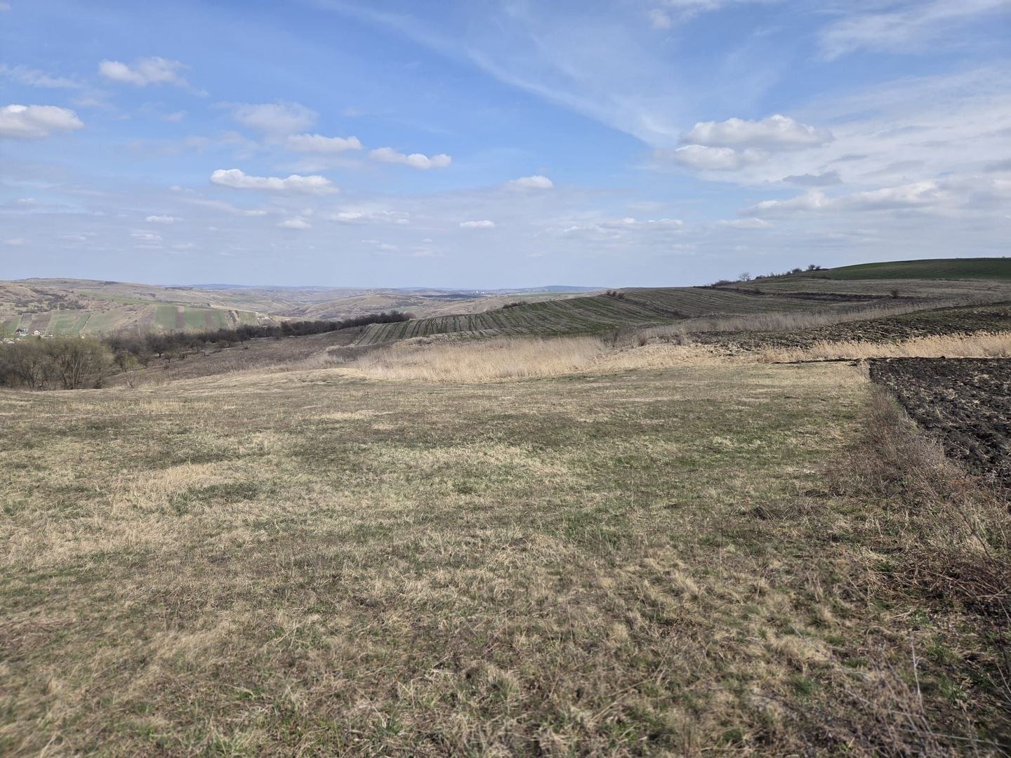 Teren de vanzare Pata Cluj - Poză 4