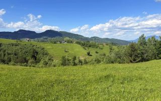 Teren 3.000 mp Bunești – E58, 23 m deschidere - Poză 2