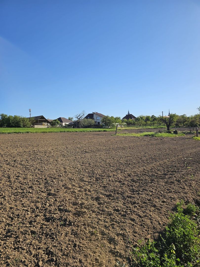 Teren intravilan Cetariu 5000 mp - Poză 1