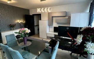 Apartament 2 camere, Baroque Residence Bucium - Poză 3